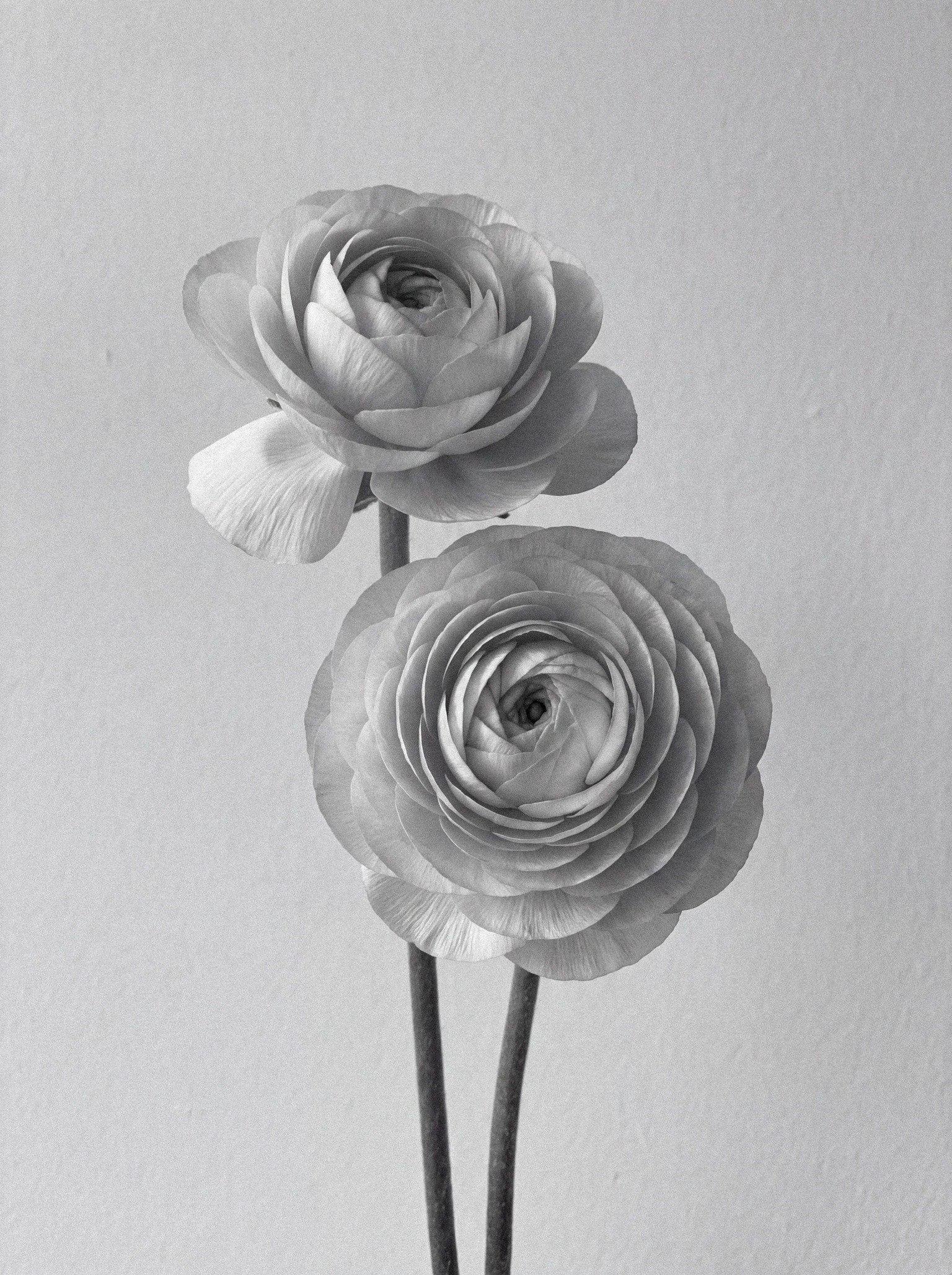 image-11-2-2.jpg